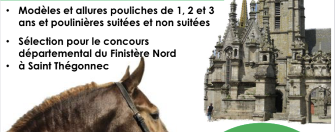 🐴 Concours cantonal du Cheval Breton 🐴 Finistère Nord