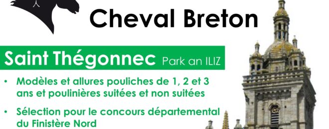 CONCOURS CANTONAL DU CHEVAL BRETON