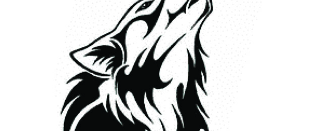 ÉTOILE SPORTIVE SAINT-THÉGONNEC  Tournoi du Loup