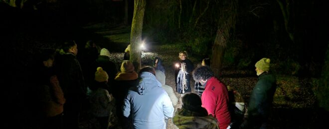 ANIMATIONS SUR LA BIODIVERSITÉ Nuit de la chauve-souris