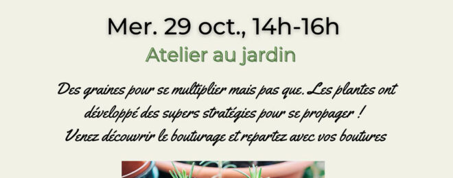 ANIMATION SUR LA BIODIVERSITÉ - Des graines pour se multiplier mais pas que