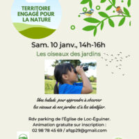 ANIMATIONS SUR LA BIODIVERSITÉ  Les oiseaux des jardins