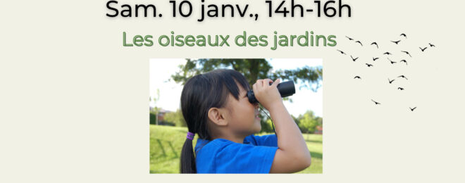 ANIMATIONS SUR LA BIODIVERSITÉ  Les oiseaux des jardins