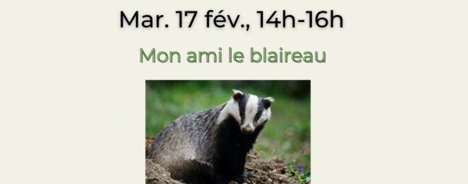 ANIMATIONS SUR LA BIODIVERSITÉ  Mon ami le blaireau