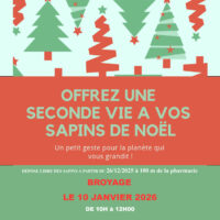 BROYAGE DES SAPINS