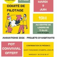 Comité de pilotage de l’EVS