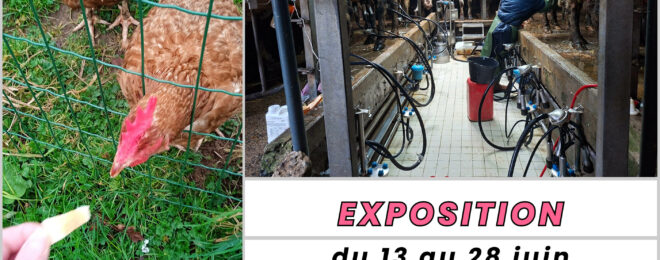 Exposition des photos du concours 2026