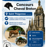 Concours cantonal de Cheval Breton à Saint-Thégonnec !