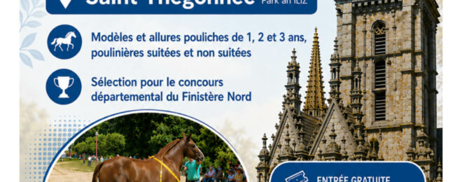 Concours cantonal de Cheval Breton à Saint-Thégonnec !