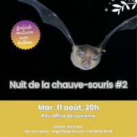 Animation biodiversité – Nuit de la chauve-souris #2