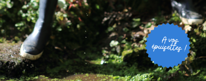 ANIMATION BIODIVERSITÉ : EXPLORATEURS DE LA RIVIÈRE